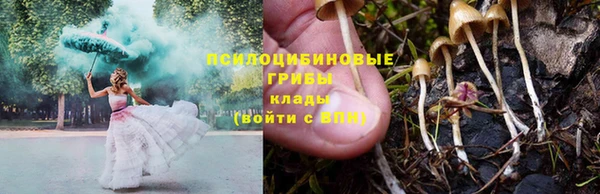 гашик Абдулино
